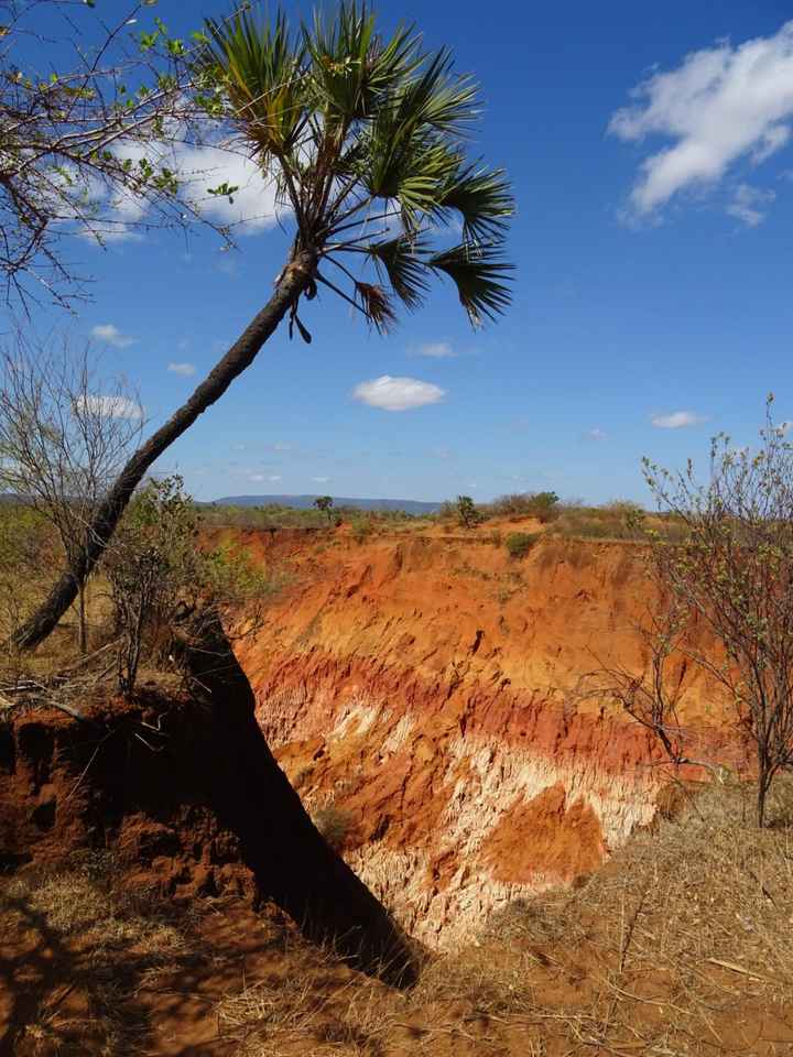 Viaggio di nozze a Settembre. Kenya o Madagascar? - 8