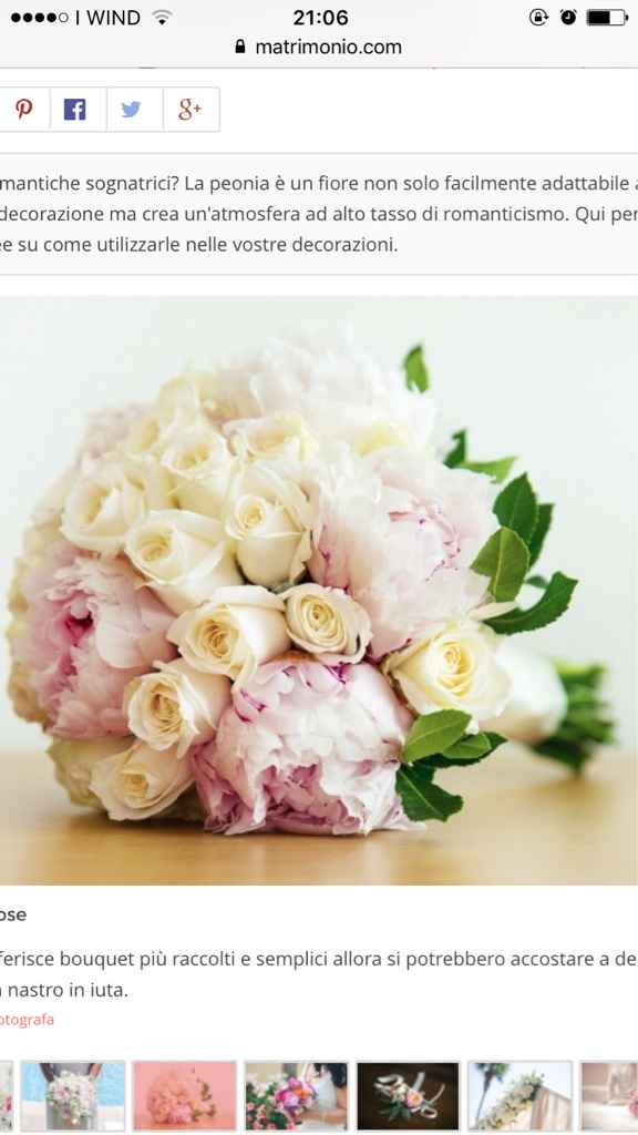 Fatemi vedere il vostro 💐 - 1