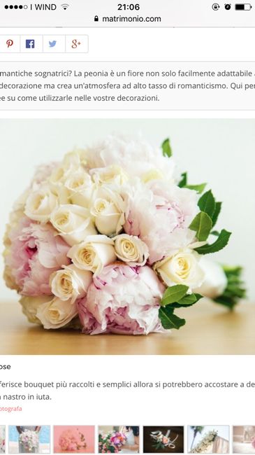 Fatemi vedere il vostro 💐 - 1