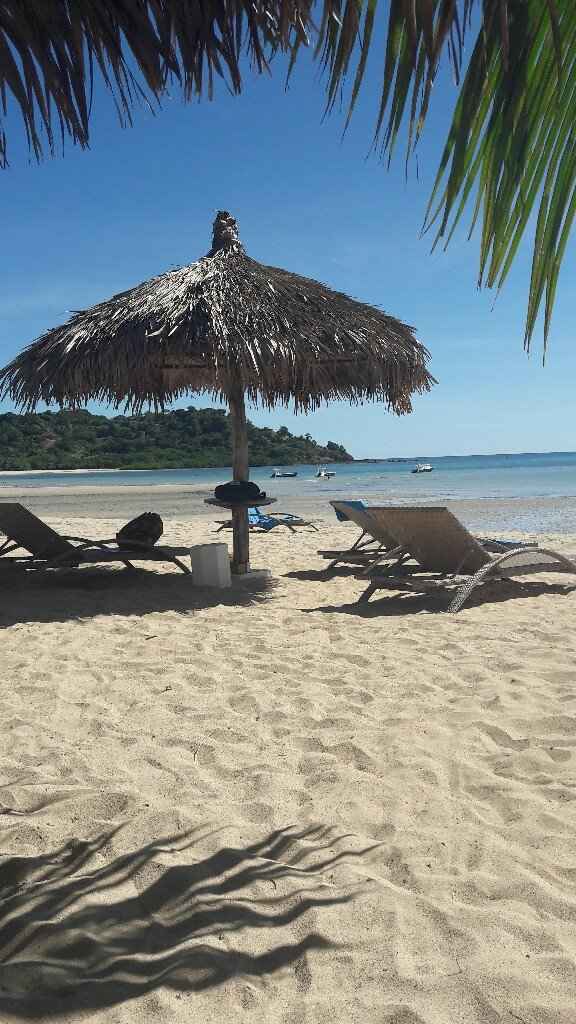 Chi come me madagascar ?? - 1