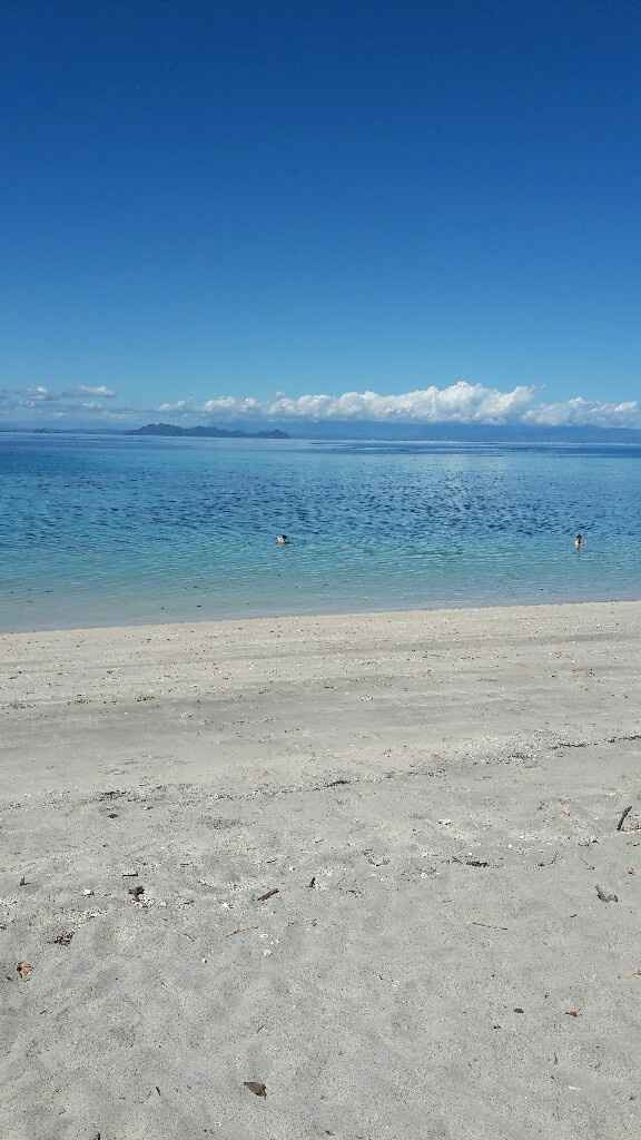 Chi come me madagascar ?? - 3