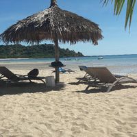 Chi come me madagascar ?? - 1