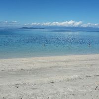 Chi come me madagascar ?? - 3