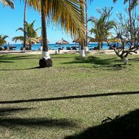 Chi come me madagascar ?? - 5