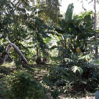 Chi come me madagascar ?? - 6