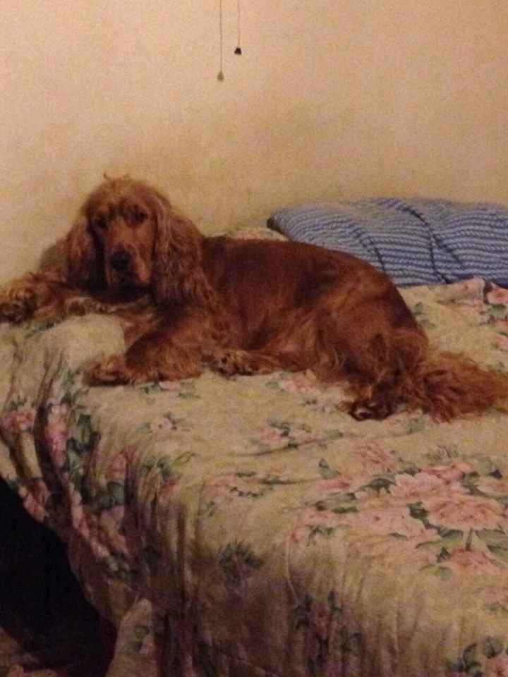 Il mio terzo uomo è bellissimo! - 1