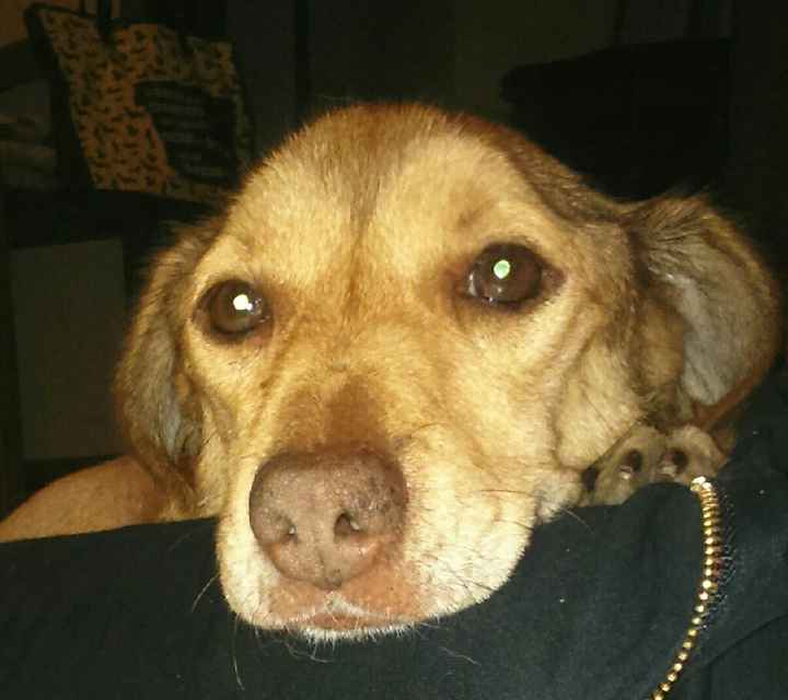 La nostra bambina! !!!!!! - 1