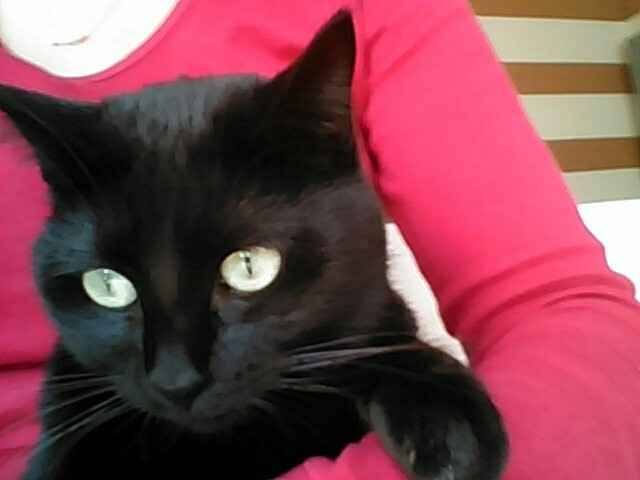 La nostra bambina! !!!!!! - 2