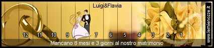Mancano quasi 8 mesi - 1