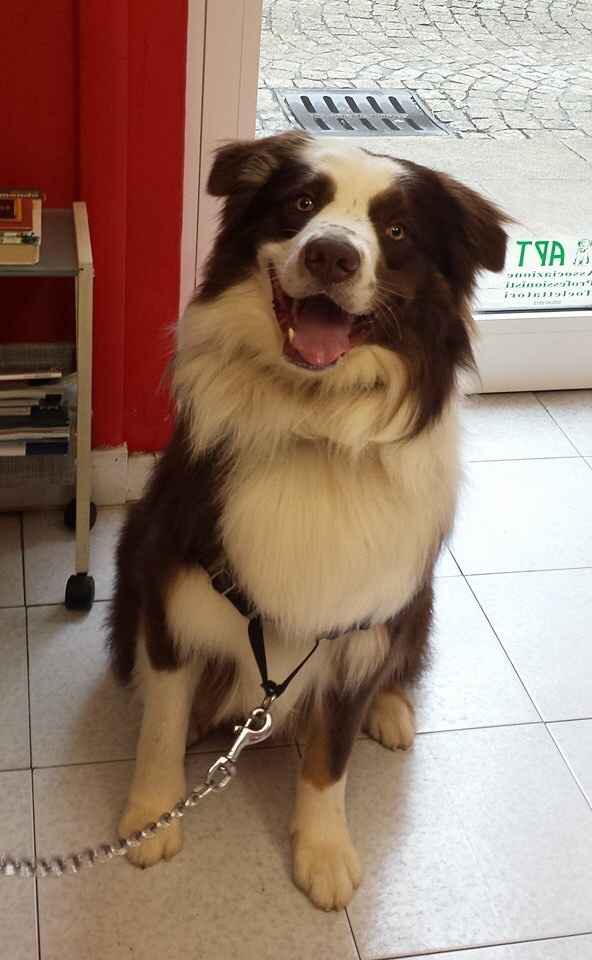 Mi fate vedere come siete? - 1