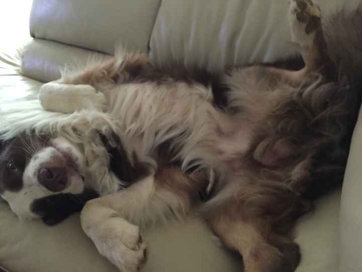 Il mio amoreeeeee - 1