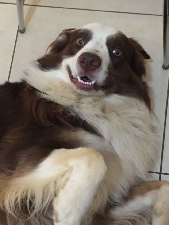 La nuova arrivata ?? - 1