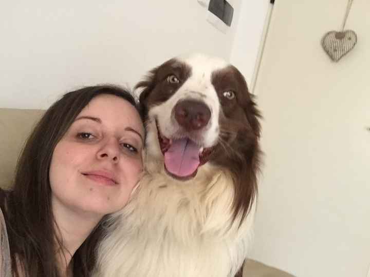 Compagno a 4 zampe? - 2