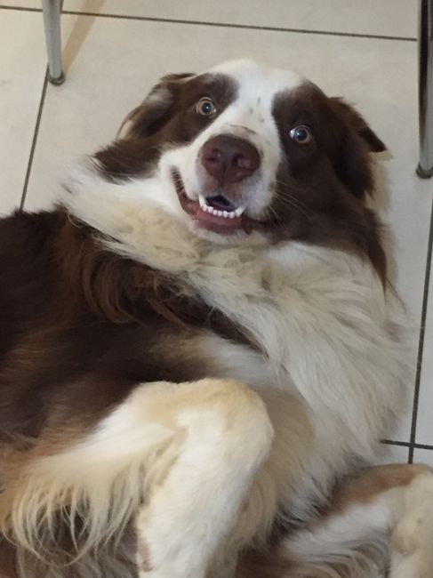 La nuova arrivata ?? - 1