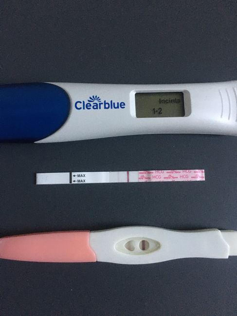 Chi non le aspetta per marzo 2022 🌸🌸🌸🌸 1