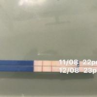 test ovulazione prima del ciclo - 1