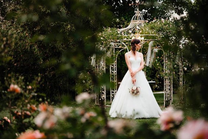 Il mio matrimonio - 4