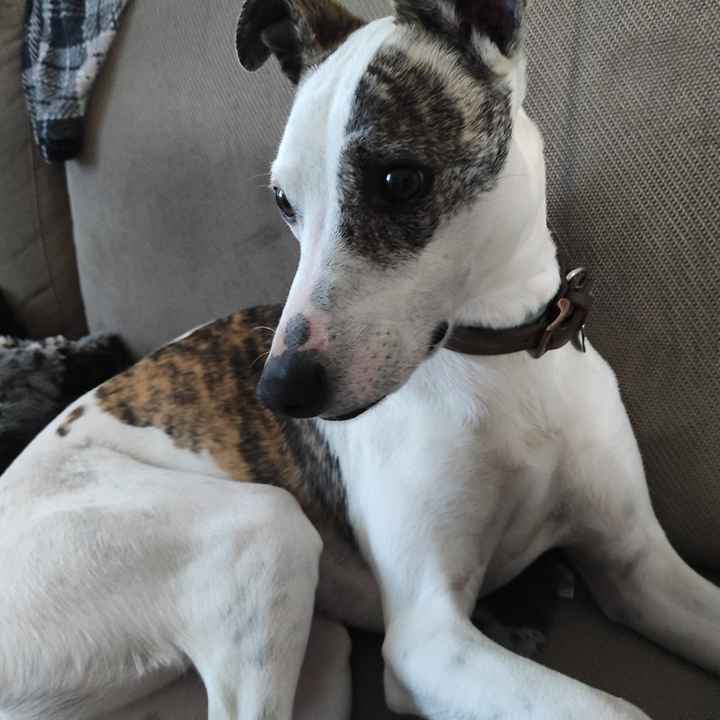 Notte prima delle nozze - 2