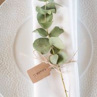 Centrotavola piante aromatiche - 1