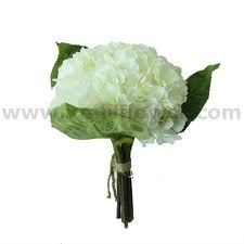 bbbbbbbbbbbbbbbbbbjhhhhhhh