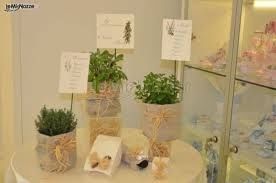 tableau con erbe aromatiche 1