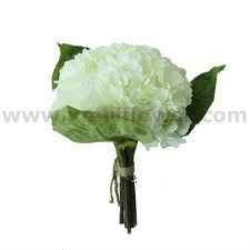 bbbbbbbbbbbbbbbbbbjhhhhhhh