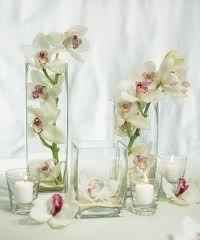 centrotavola orchidea