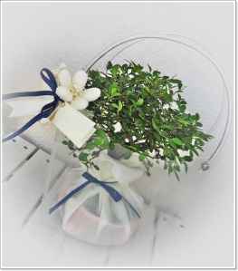 Bomboniera floreale 2