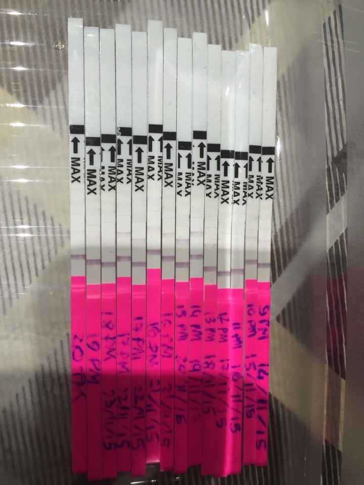 Per favore un aiuto con gli stick canadesi - 1