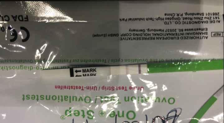 Test gravidanza non chiaro - 2