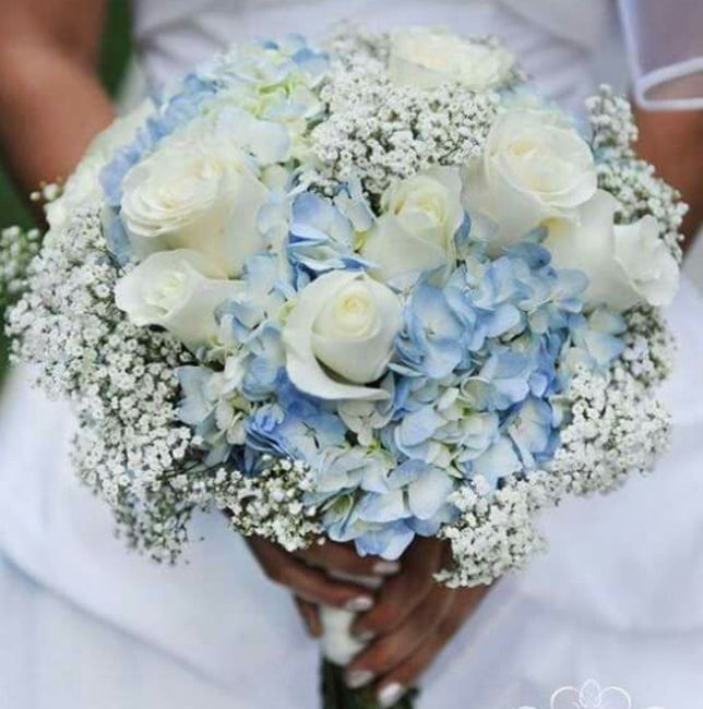 Consigli per il bouquet io ho scelto le ortensie dello stesso colore del vestito con abbinamento di rose bianche e nebbiolina che ne dite? 3