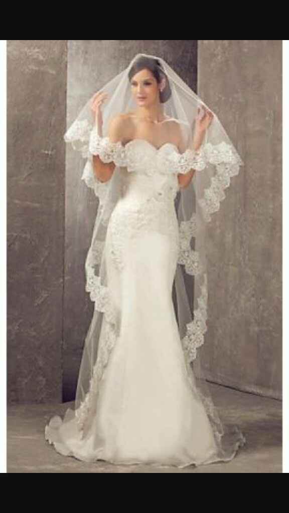 Il dilemma del velo... - 1