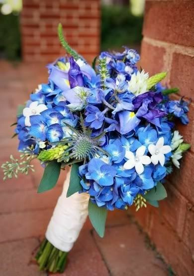 Bouquet sposa bianco-blu 23