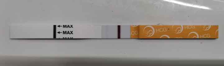 Chi non le aspetta per Marzo 2025 🍀🌸💐🌺 - 3