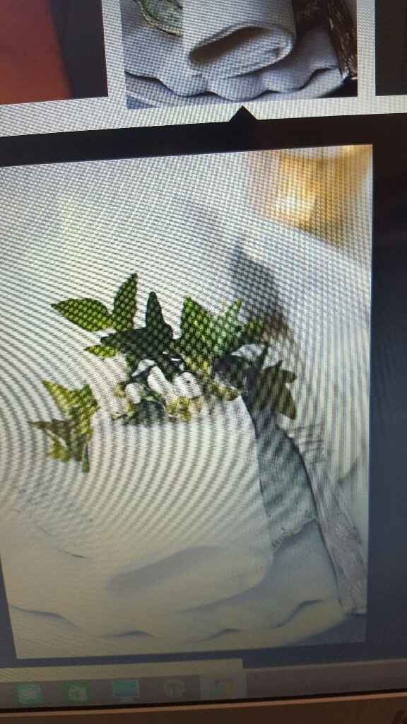 Color verde mela - 3