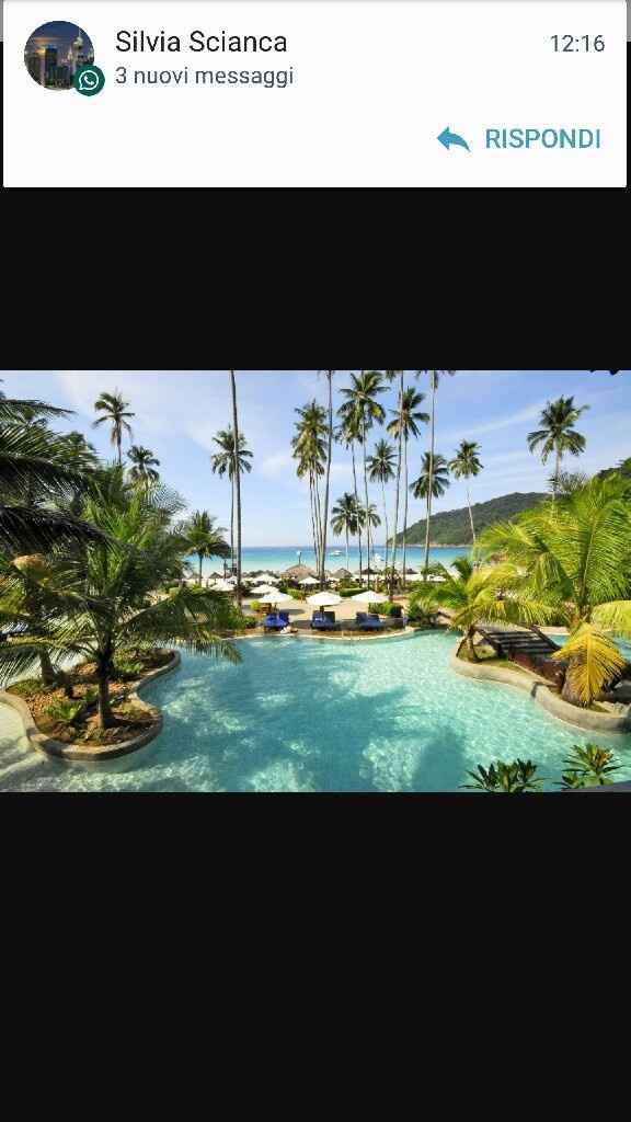 Oggi viaggio prenotato: malesia arriviamo!! - 13