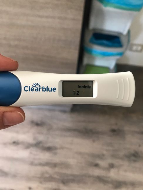 Che stavolta vada bene!! - 2