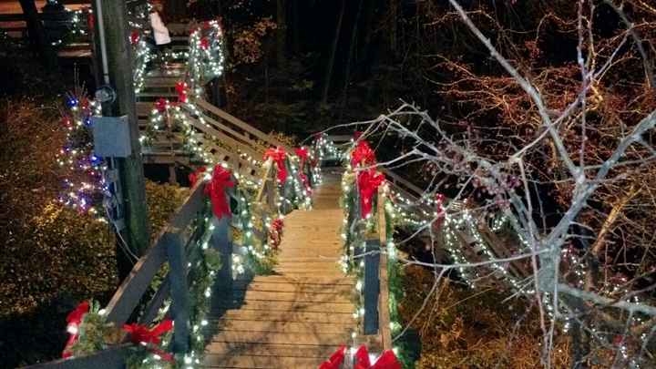 Albero di natale ??? - 2