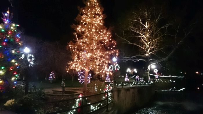 Albero di natale ??? - 4