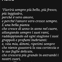 Dedica bomboniere verdi - 1