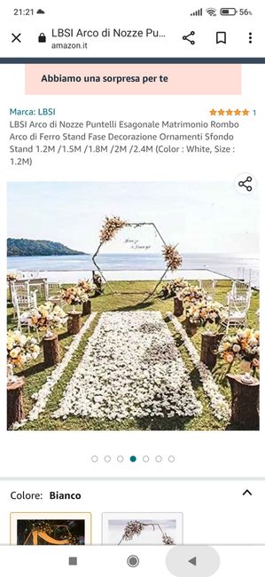 Arco fiori in affitto Torino e provincia!! 3