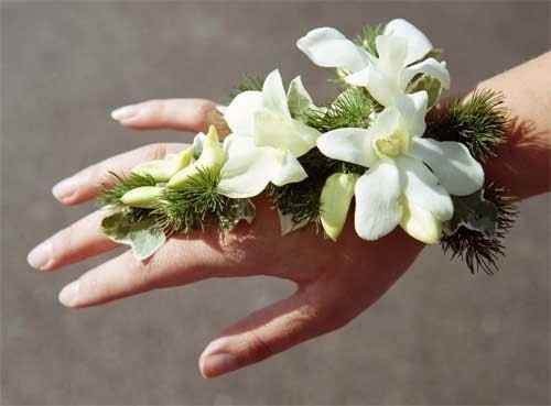 Boquet da polso.  - 2