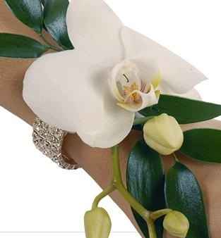 Boquet da polso.  - 3