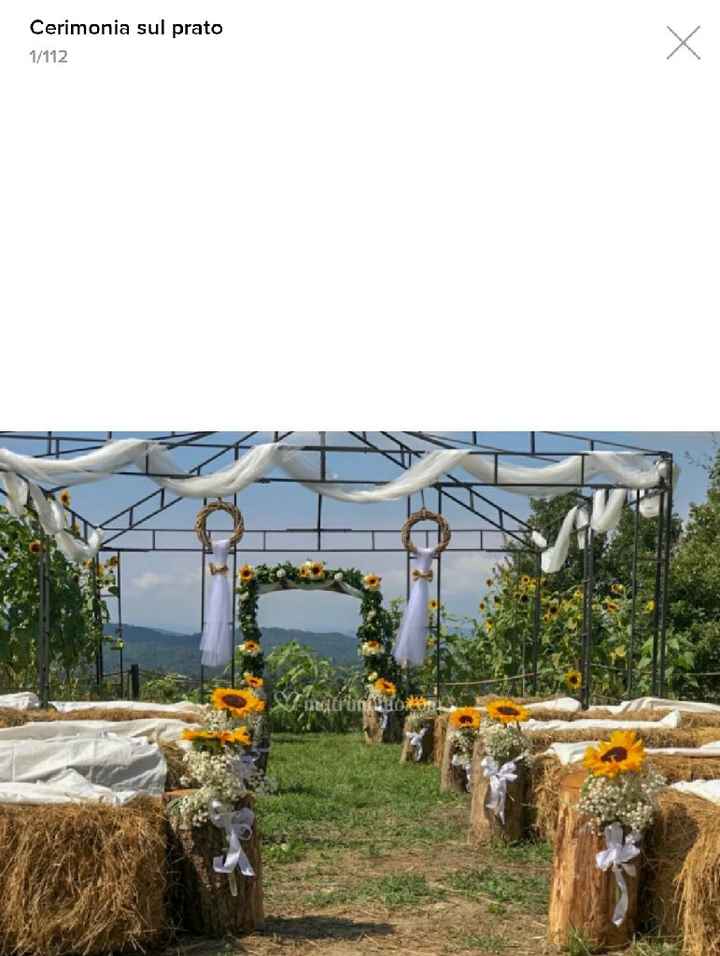 Alla ricerca di consigli: Fiori 🤔 - 1