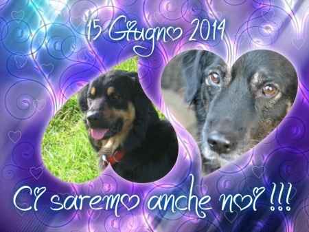 Anche loro ci saranno!!!!!