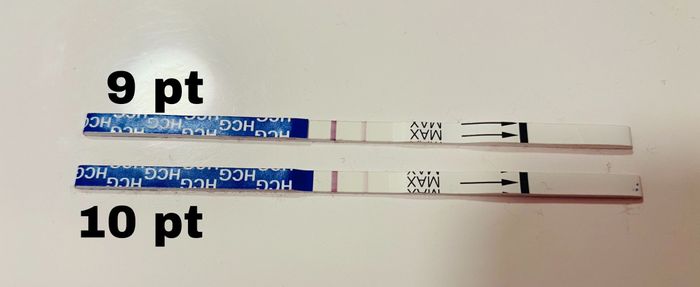 Canadese al 8 post transfer 1