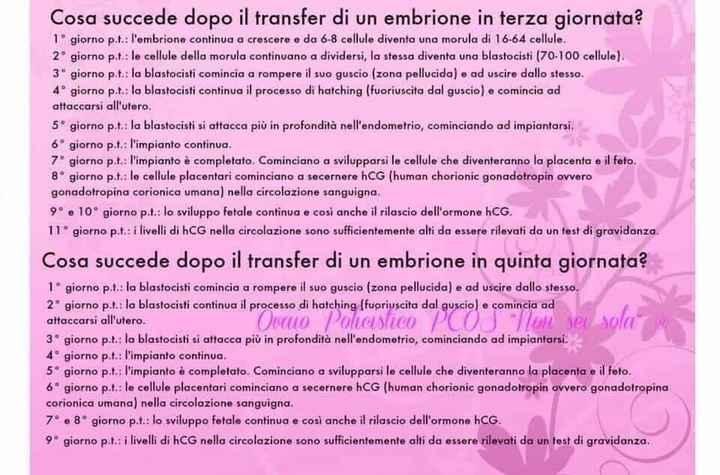 Fecondazione assistita: chi di voi? - 1