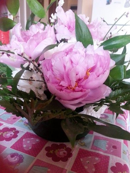 Le peonie.... stupende. .. - 1