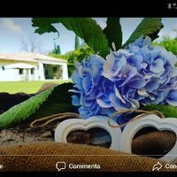 🎁Allestimenti floreali: come saranno i tuoi? ✅❌ - 1