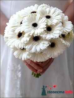 i fiori!!!! semplici gerbere bianche con pistillo nero!!!